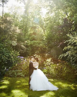 Gorgeous summer wedding at Toronto Botanical Gardens and Edwards Gardens. .
.
#torontobotanicalgardenwedding 
#torontobotanicalgarden 
#torontoweddingphotography 
#summerweddingideas